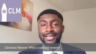 Explainer What is judicial review [upl. by Noyar]