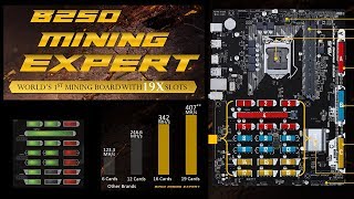 19 GPUs 500 MHs  Asus B250 Mining Expert Motherboard Overview [upl. by Nylecyoj]