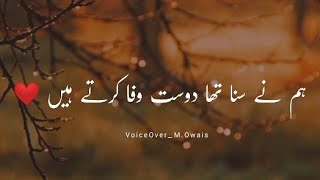 Hum Nay Suna Tha Dost Wafa Karte Hain  Sad Shero Shayari Painfull Status [upl. by Desdamona]