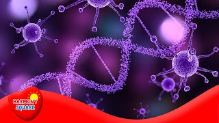 Three Types of Genetic Diseases  More Science on the Learning Videos Channel [upl. by Aliuqaj619]