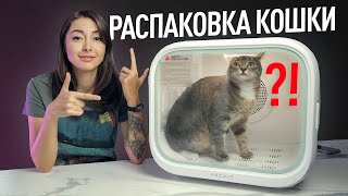 Топ гаджетов для кошек и собак автоматический лоток PETKIT PURA MAX сушка AIRSALON MAX и др [upl. by Tabbatha771]