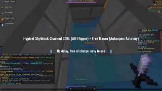 Hypixel Skyblock Auto Auction Flipper QOL 1B PER DAY [upl. by Esther809]