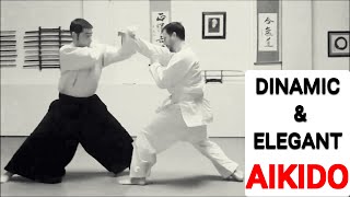 AIKIDO Arte Marcial DINÁMICO y ELEGANTE 👏‍‍  EXHIBICIÓN de TÉCNICAS de Aikido  Budo MODERNO [upl. by Sairahcaz523]