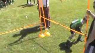 Agility Poles Over Under Agility Pole Hurdle Warmups [upl. by Carman]