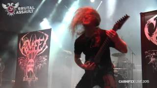 Brutal Assault 20  Carnifex live 2015 [upl. by Coy999]