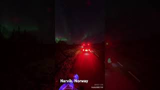 Narvik Norway northenlight aurora travel auroraborealis follow northernlights [upl. by Nimaynib]