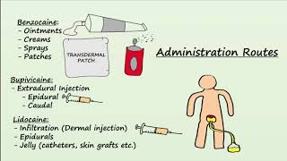 Local Anesthetics  Mechanism Indications amp Side Effects [upl. by Ardeha]