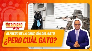 Día del Gato en RD ¿pero de que gato l VTV Meridiano l [upl. by Ahsauqram]