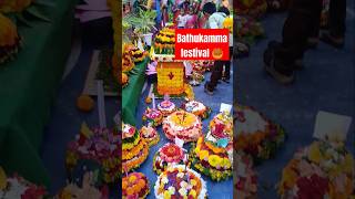 Bathukamma festival 🥮 chinna bathukamma  bathukamma celebrations trendingshorts festival [upl. by Eliam]