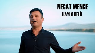 Necat Menge Haylo Delil Dengbeji Kürtçe Uzun Hava [upl. by Iddet]