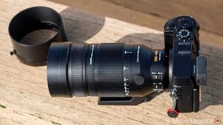 Panasonic 100400mm review for wildlife photography [upl. by Rossi]