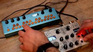 Axoloti Dual Looper [upl. by Kunin]