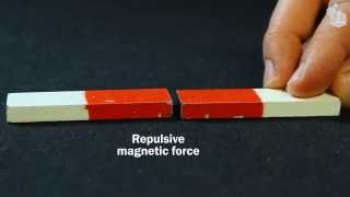 Video Lab Magnetic forces [upl. by Kwok466]