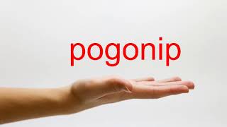 How to Pronounce pogonip  American English [upl. by Aranat183]