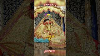 Radhe Radhe ♥️🥰🙏radhakrishn krishn krishnwold viralreel radharani viral dwarka dwarkadhish [upl. by Eyt]