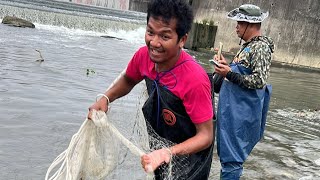 A million of fish during the typhoon [upl. by Niwri65]