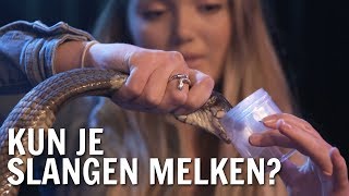 Kun je slangen melken  De Buitendienst over Gif [upl. by Moya261]