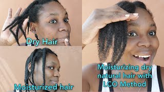 Moisturizing my dry natural hair using the LCO Method  Low porosity 4c hair [upl. by Nosloc657]