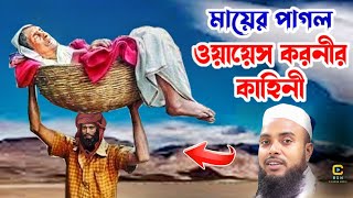 Anamul Haque waz 2025  Moulana inamulu Haque waz  karimganj waz [upl. by Annia]