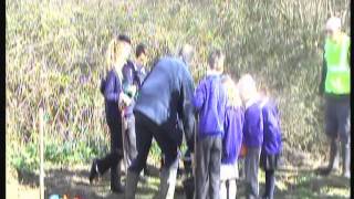 Winscombe amp Sandford Primary Schools tree planting [upl. by Alberik]