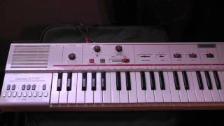 Casio MT40 keyboard sleng teng riddim [upl. by Zoba]