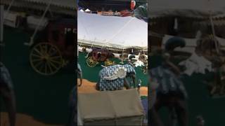 Miniature Circus At Ringling Brothers Museum [upl. by Namaj]