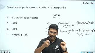 Second messenger for vasopressin acting via V1 receptor is [upl. by Oiramej]