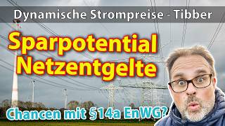 §14a EnWG  Beachtliches Sparpotential in Kombination mit dynamischen Strompreisen wie tibber [upl. by Lauter726]