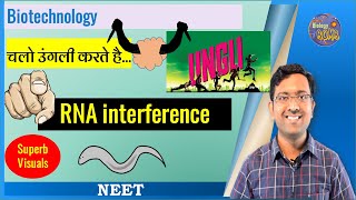 RNA interferenceRNA silencingRNAi mechanism I NEET I Dr Kunal Tatte KT [upl. by Elgar]