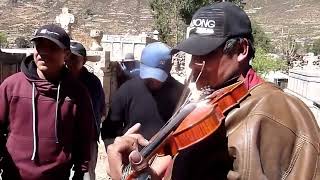 QANTUCHA DE PARINACOCHAS  HUAYNO MIX ARPA Y VIOLIN COCA KINTUCHA  EN EL CEMENTERIO [upl. by Barton]