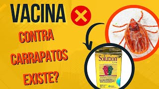 SECRETO REMÉDIO CONTRA CARRAPATOS DE CACHORRO  VACINA PARA DOENÇA DO CARRAPATO EM CÃES [upl. by Ellehsor146]