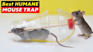 Best Humane Mouse amp Rat Trap A Safe and Effective Solution for Rodent Control [upl. by Airbas]