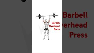 Master the Barbell Overhead Press Total Upper Body Power Move 💪 fitnesstips motivationworkouttips [upl. by Malorie]