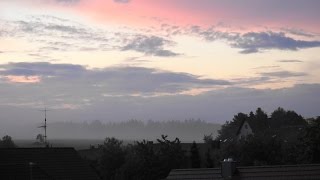 Vogelgezwitscher im Morgengrauen  Naturgeräusche  Entspannungsmusik  Sounds of Nature [upl. by Siegler]