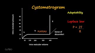 The concept of cystometrogram simplified [upl. by Faxun]