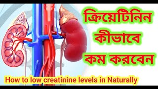 ক্রিয়েটিনিন কমানোর উপায়  How to low creatinine levels in naturally  ক্রিয়েটিনিন creatinine [upl. by Schultz]