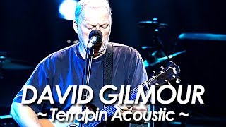 PINK FLOYD：DAVID GILMOUR Respect Syd Barrett 『Terrapin 』2002 [upl. by Rudd]