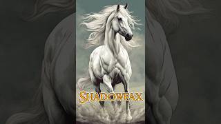 SHADOWFAX LORD OF ALL HORSES  LOTR [upl. by Lowndes842]