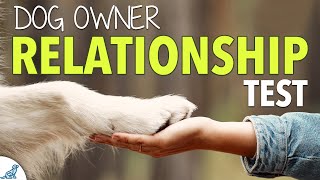 Your COMPLETE Dog Training Leadership Assessment [upl. by Aihsema]