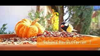 Schöne Herbstferien [upl. by Tlok]