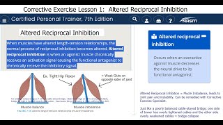 Altered Reciprocal Inhibition and how to counter it quotUnlockquot the hip flexors [upl. by Hauck71]