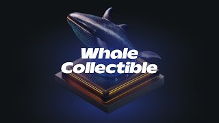 Swim with the Whales Understanding Cryptos Big Players [upl. by Yatnuahc675]