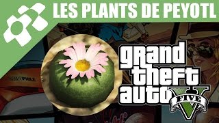 GTA V  Les 27 Plants de Peyotl et Leurs Transformations [upl. by Eiralih]