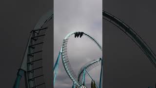 Immelmanns and Dive Coasters Go Together  Emperor at SeaWorld San Diego [upl. by Ridglea]