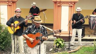 SON ANTILLANO  PICOTEANDO POR AHÍ  MÚSICA TRADICIONAL CUBANA [upl. by Jewel]