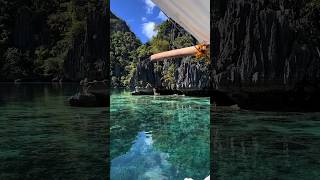 snake Island😱shorts varl tranding facts islandyoutubeshorts [upl. by Gwenn]