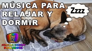 Musica Relajante para Perros 🐶 30 MINUTOS para RELAJAR y DORMIR 💤 a mi PERRO🐶 [upl. by Nlycaj]