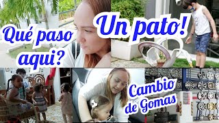 TRES NUEVOS NEUMÁTICOSCAMBIO EN EL AREA COMUNJUGANDORD VLOG [upl. by Euqitsym]