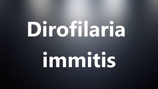 Dirofilaria immitis  Medical Meaning and Pronunciation [upl. by Ttesil281]