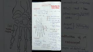 anatomy Metacarpal bone handwrittennotes anatomynotes [upl. by Emie]